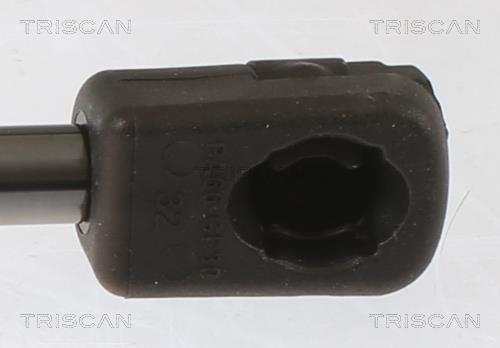Vérin (Vérin de hayon) Triscan A/S 8710 43248