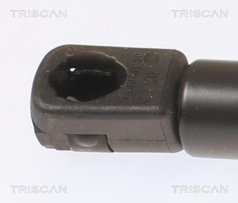 Muelle neumático Triscan A/S ref. 8710 43249