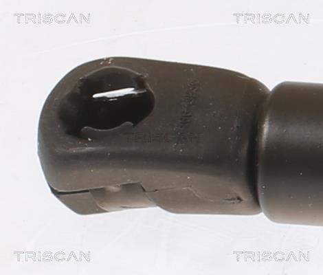 Cilindro Triscan A/S ref. 8710 43250