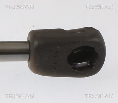 Cilindro Triscan A/S ref. 8710 43250