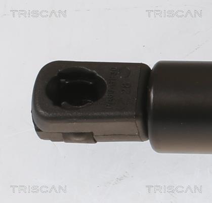 Vérin (Vérin de hayon) Triscan A/S ref. 8710 43251