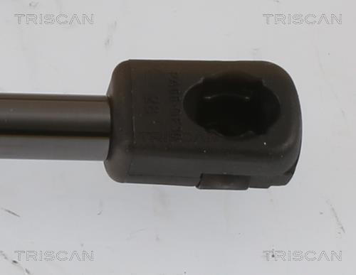 Vérin (Vérin de hayon) Triscan A/S ref. 8710 43251