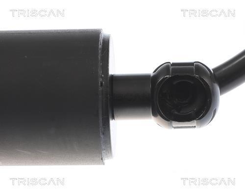 Vérin (Vérin de hayon) Triscan A/S 8710 43301