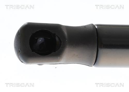 Muelle neumático, maletero/compartimento de carga Triscan A/S ref. 8710 43309