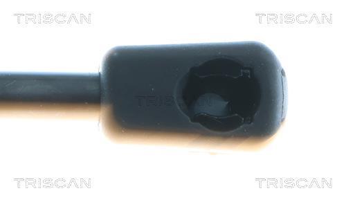 Vérin de hayon, de coffre (Vérin de hayon) Triscan A/S ref. 8710 43310