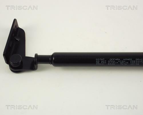 Vérin (Vérin de hayon) Triscan A/S ref. 8710 50201