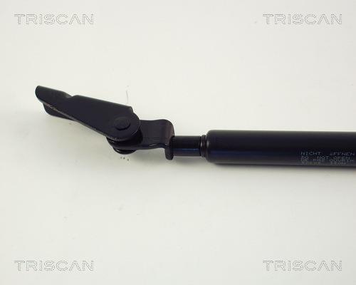 Vérin (Vérin de hayon) Triscan A/S 8710 50205