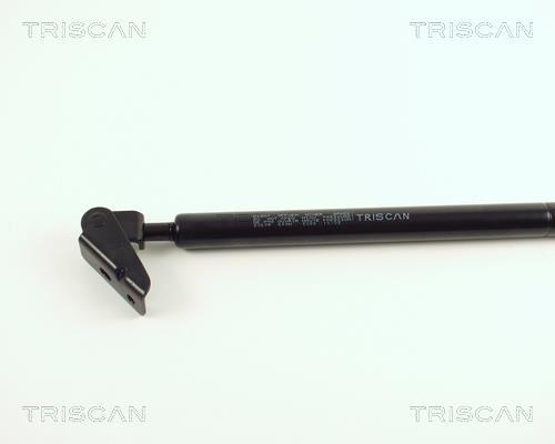 Vérin (Vérin de hayon) Triscan A/S 8710 50209