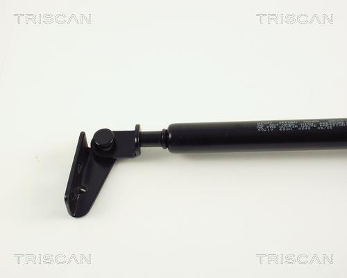 Vérin (Vérin de hayon) Triscan A/S 8710 50210