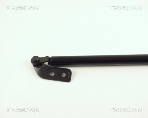 Vérin (Vérin de hayon) Triscan A/S 8710 50211