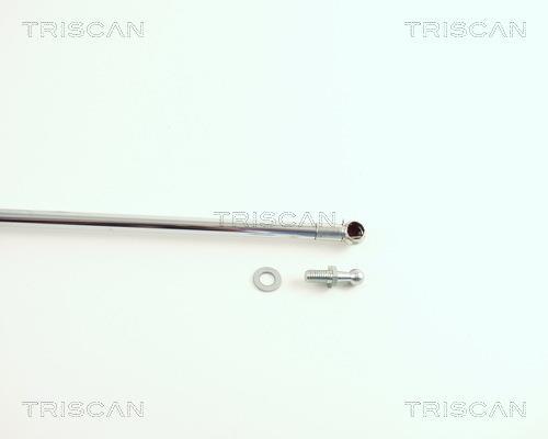 Vérin (Vérin de hayon) Triscan A/S 8710 50211