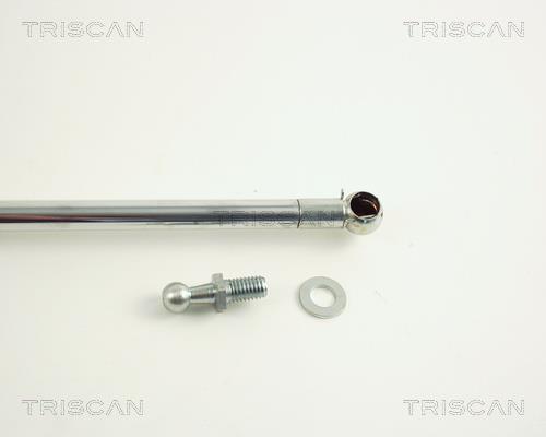 Vérin (Vérin de hayon) Triscan A/S 8710 50212