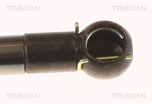 Vérin (Vérin de hayon) Triscan A/S 8710 50213