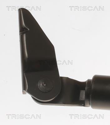 Vérin (Vérin de hayon) Triscan A/S 8710 50214