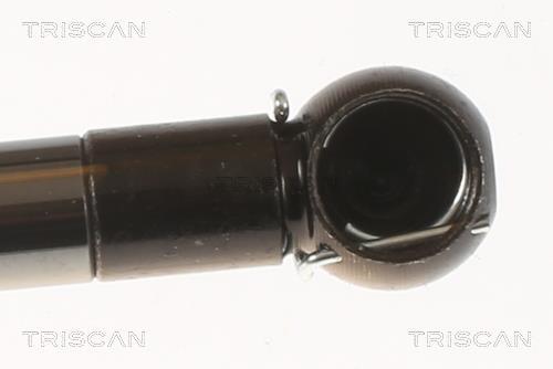 Vérin (Vérin de hayon) Triscan A/S 8710 50214