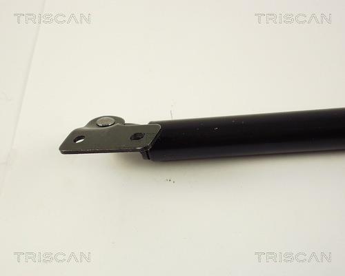 Vérin (Vérin de hayon) Triscan A/S 8710 50217