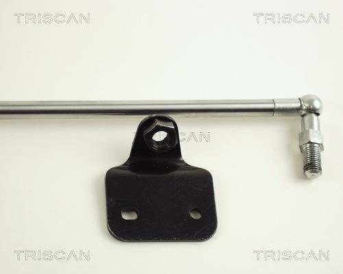 Vérin (Vérin de hayon) Triscan A/S 8710 50217
