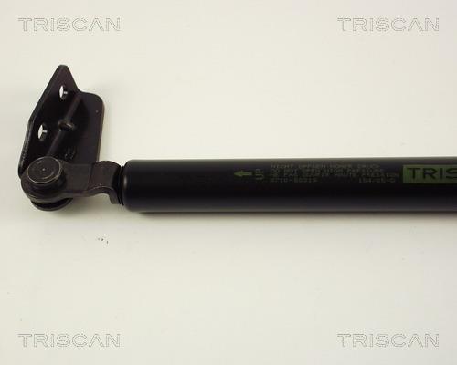 Vérin (Vérin de hayon) Triscan A/S 8710 50219