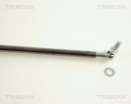 Vérin (Vérin de hayon) Triscan A/S 8710 50219