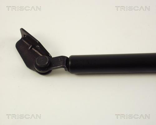Vérin (Vérin de hayon) Triscan A/S 8710 50220