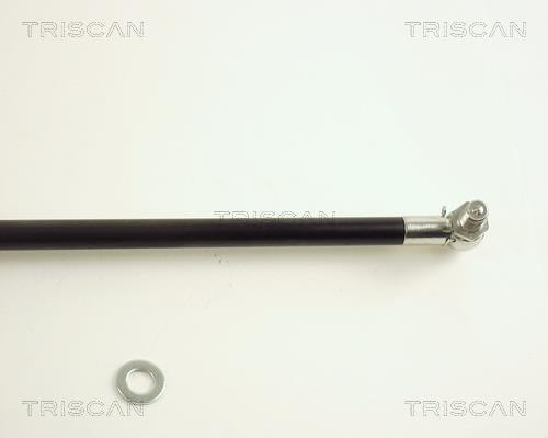 Vérin (Vérin de hayon) Triscan A/S 8710 50220