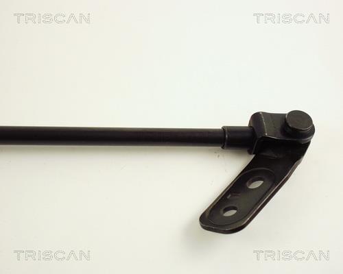 Vérin (Vérin de hayon) Triscan A/S ref. 8710 50222