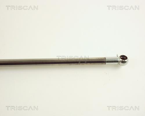 Vérin (Vérin de hayon) Triscan A/S 8710 50223