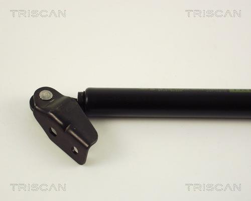 Vérin (Vérin de hayon) Triscan A/S 8710 50225