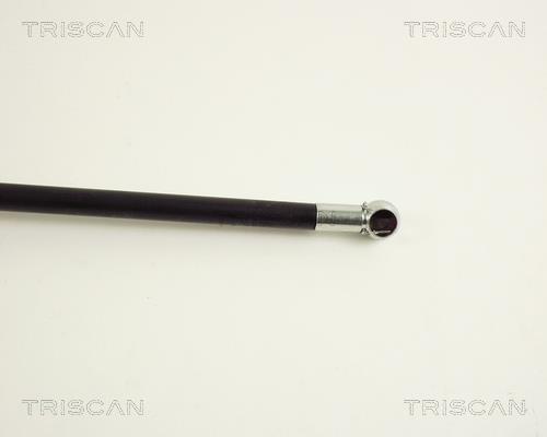Vérin (Vérin de hayon) Triscan A/S 8710 50225