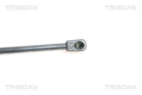 Vérin (Vérin de hayon) Triscan A/S 8710 50234