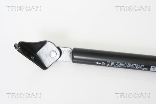 Vérin (Vérin de hayon) Triscan A/S 8710 50239