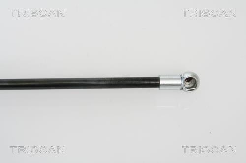 Vérin (Vérin de hayon) Triscan A/S 8710 50239