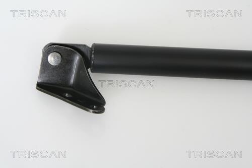 Vérin (Vérin de hayon) Triscan A/S ref. 8710 50240