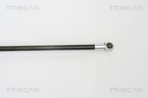 Vérin (Vérin de hayon) Triscan A/S ref. 8710 50240