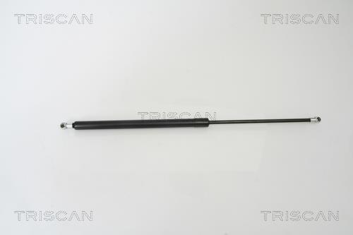 Muelle neumático Triscan A/S ref. 8710 50241
