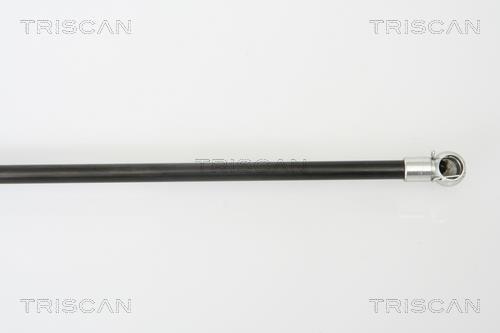 Muelle neumático Triscan A/S ref. 8710 50241