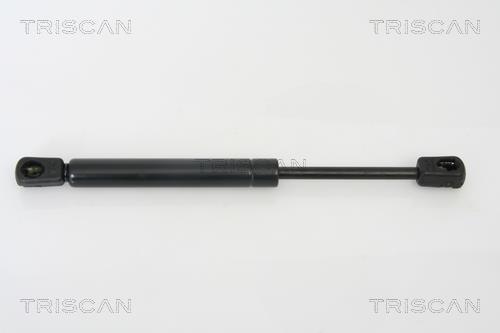 Muelle neumático Triscan A/S ref. 8710 50242