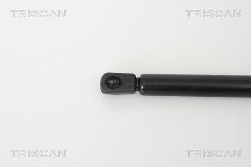 Muelle neumático Triscan A/S ref. 8710 50242