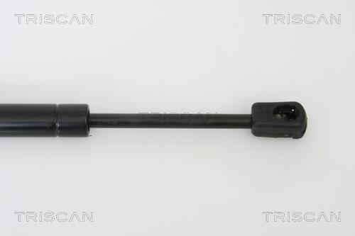 Muelle neumático Triscan A/S ref. 8710 50242