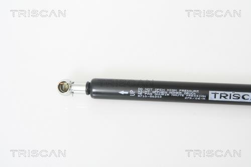 Vérin (Vérin de hayon) Triscan A/S 8710 50243