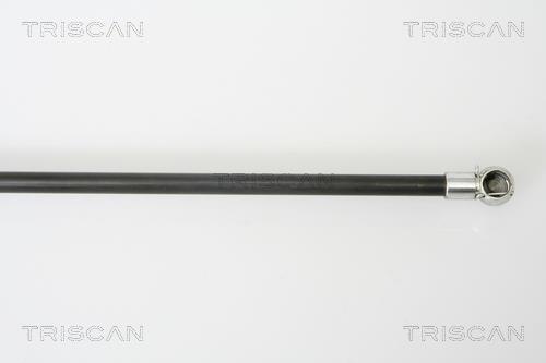 Vérin (Vérin de hayon) Triscan A/S 8710 50243