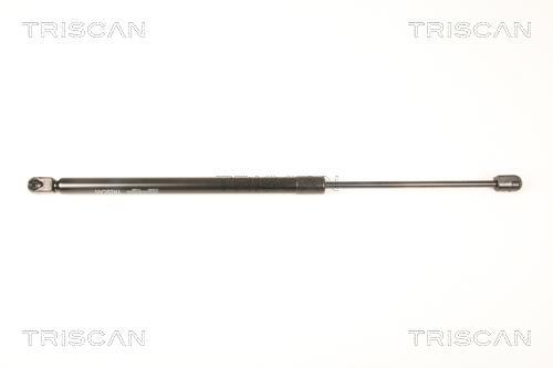 Vérin (Vérin de hayon) Triscan A/S ref. 8710 50244