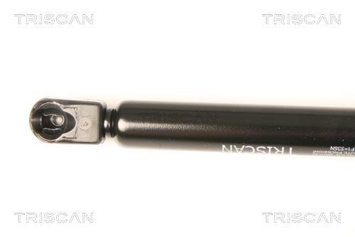 Vérin (Vérin de hayon) Triscan A/S ref. 8710 50244