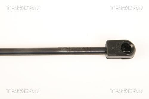 Vérin (Vérin de hayon) Triscan A/S ref. 8710 50244