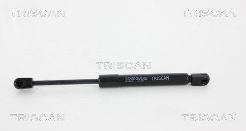 Muelle neumático Triscan A/S ref. 8710 50245