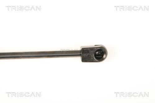 Cilindro Triscan A/S 8710 50246