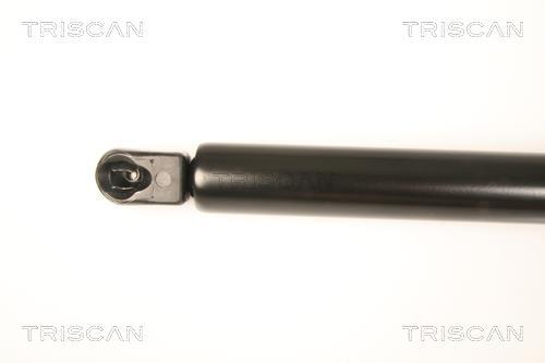 Vérin (Vérin de hayon) Triscan A/S 8710 50247