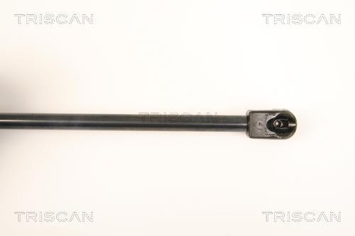 Vérin (Vérin de hayon) Triscan A/S 8710 50247