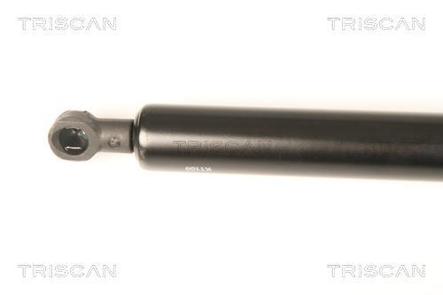 Vérin (Vérin de hayon) Triscan A/S 8710 50248