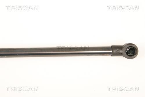 Vérin (Vérin de hayon) Triscan A/S 8710 50248